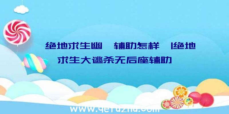 「绝地求生幽冥辅助怎样」|绝地求生大逃杀无后座辅助